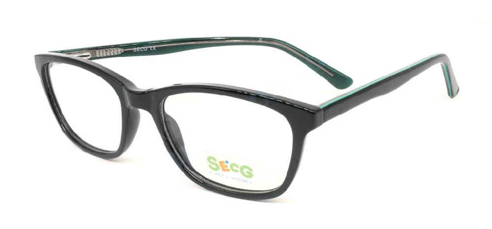 Secg 1003
