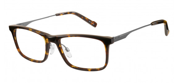 Pierre Cardin PC 6204