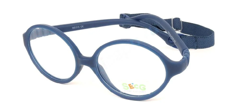 Secg 1253