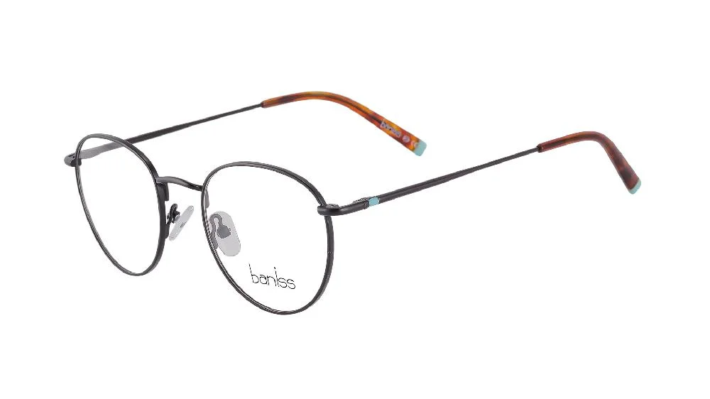 Baniss BR4007