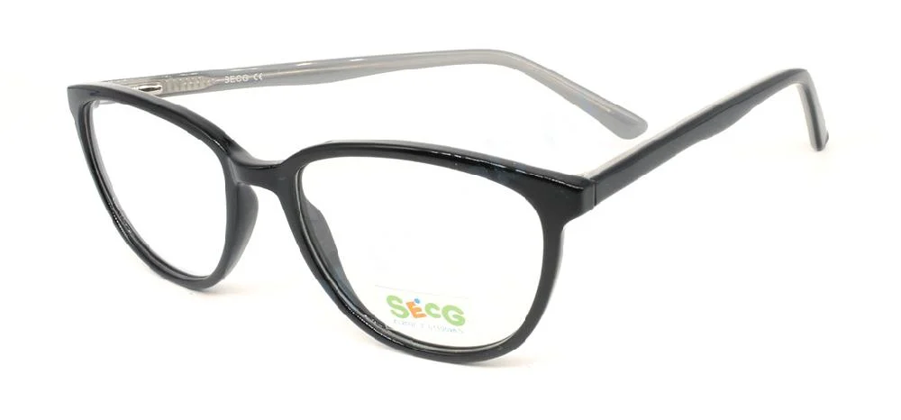 Secg 1007