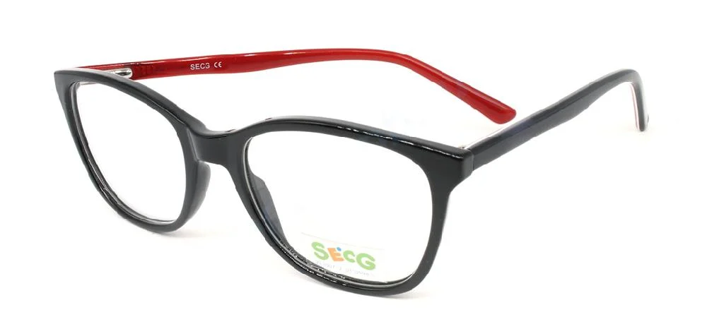 Secg 1004