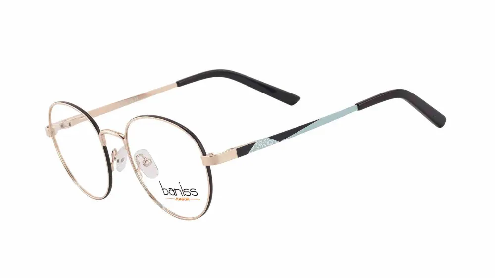 Baniss BRJ4017