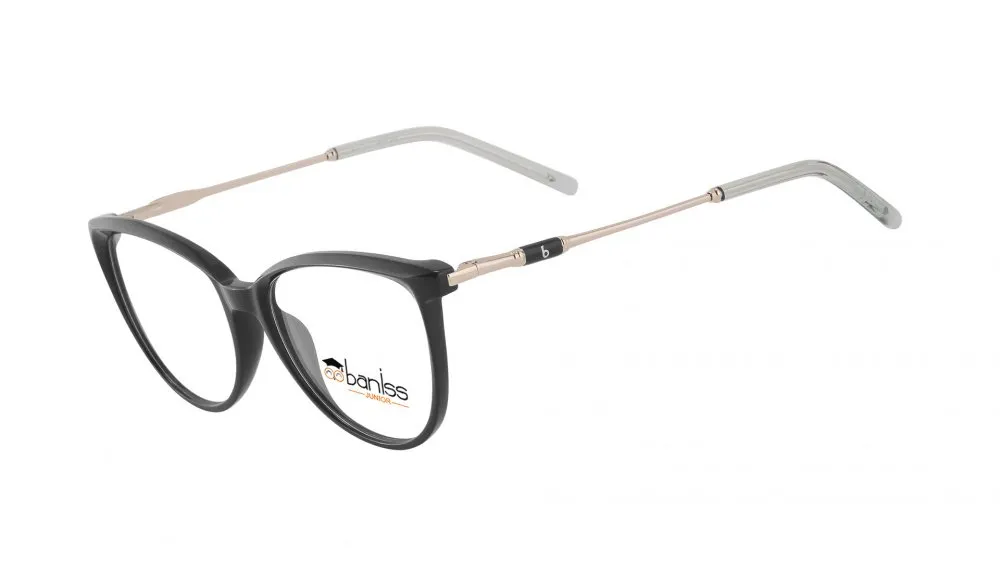 Baniss BS7090