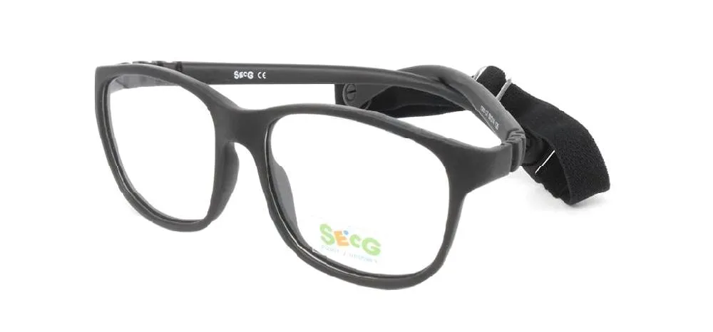Secg 1303