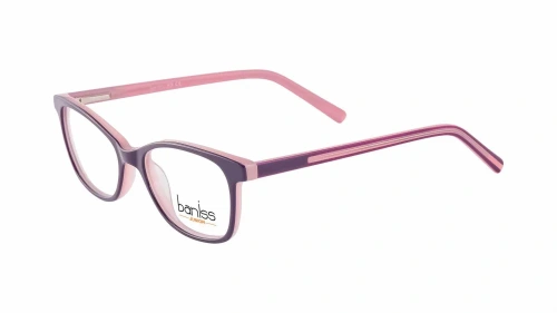 Baniss BSJ5110 фото 3