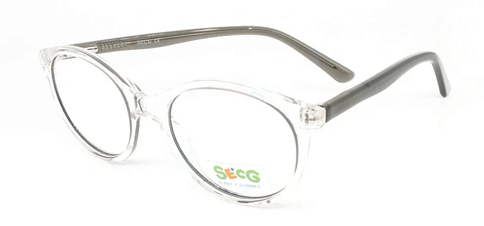 Secg 1001