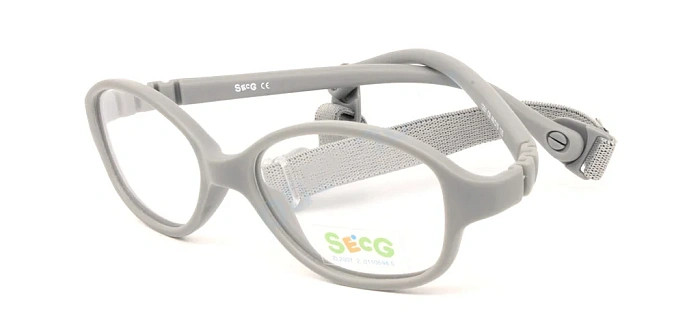 Secg 1251