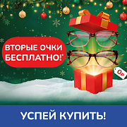 Вторые очки бесплатно!