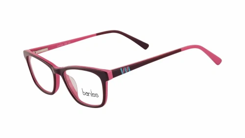 Baniss BSJ5125 фото 3