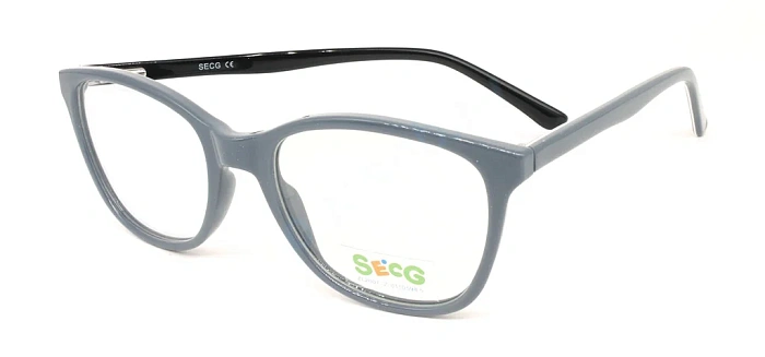 Secg 1004