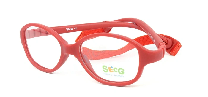Secg 1251