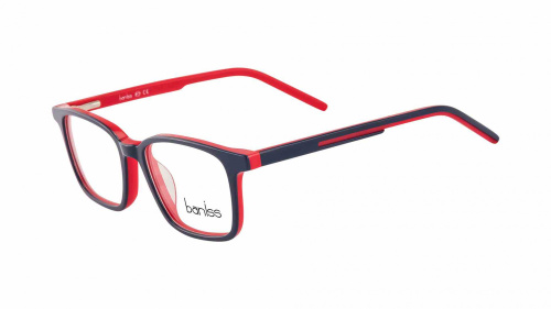 Baniss BSJ6073 фото 2 Baniss BSJ6073 фото 2