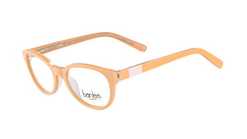 Baniss BSJ5090 фото 3