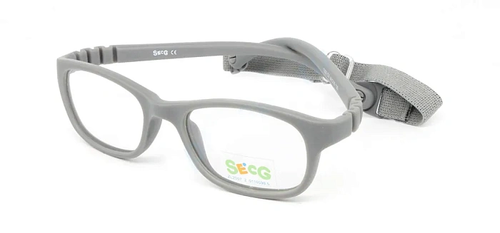 Secg 1203