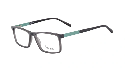 Baniss BS8032 фото 3