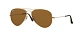 Ray-Ban 0RB3025