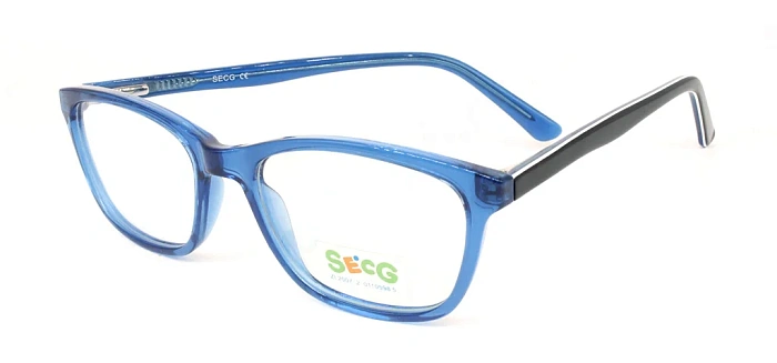 Secg 1003