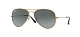 Ray-Ban 0RB3025