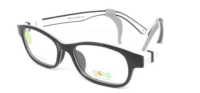 Secg 012