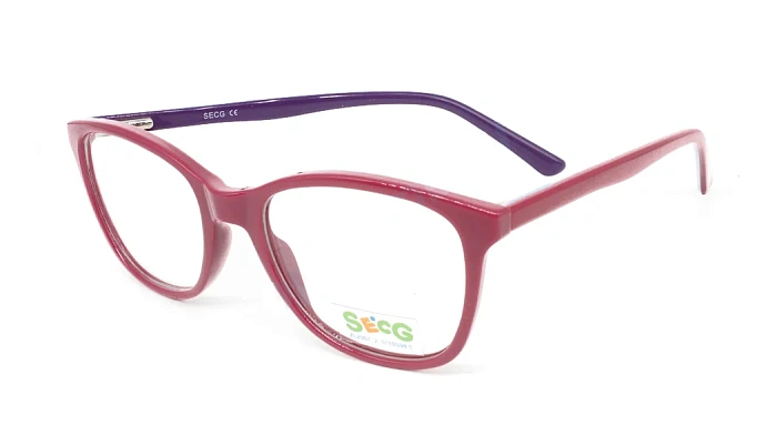 Secg 1004