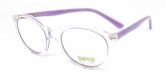 Secg 1001