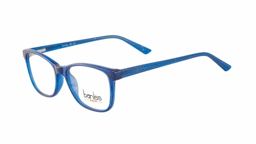 Baniss BSJ5107 фото 2