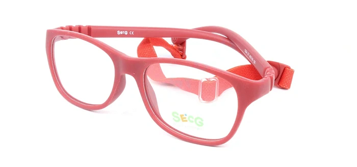 Secg 1254