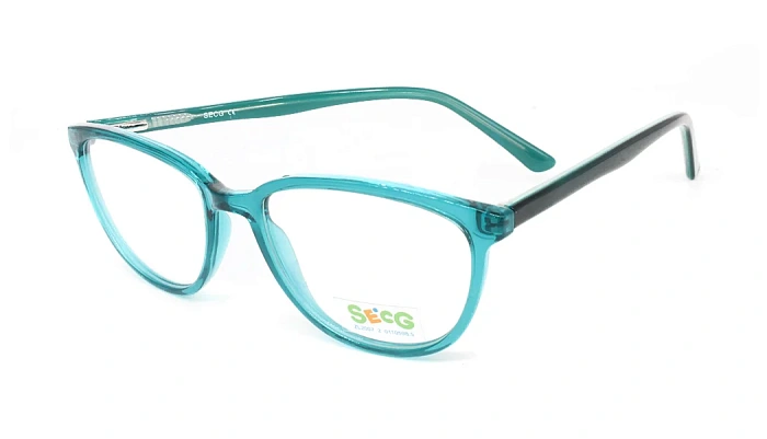 Secg 1007