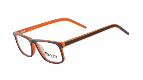 Baniss BSJ6077 фото 4 Baniss BSJ6077 фото 4