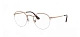 Ray-Ban 0RX3947V
