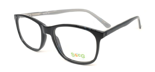 Secg 1006 Secg 1006