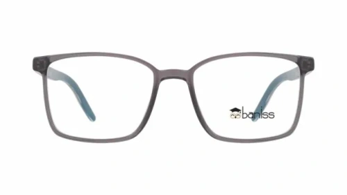 Baniss BS8063 фото 6