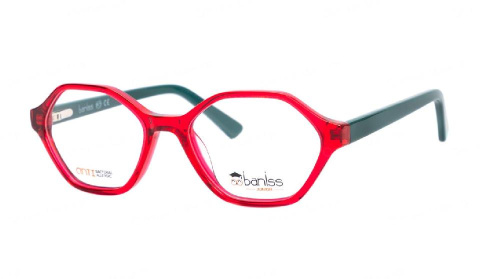 Baniss BSJ6838 Baniss BSJ6838