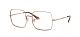 Ray-Ban 0RX1971V