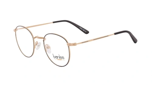 Baniss BR5053 фото 3