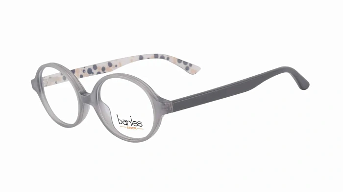 Baniss BSJ6817
