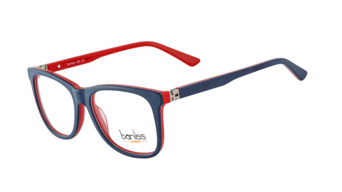 Baniss BSJ6058 фото 2