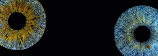 Фото радужки в подарок