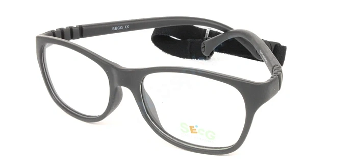 Secg 1254