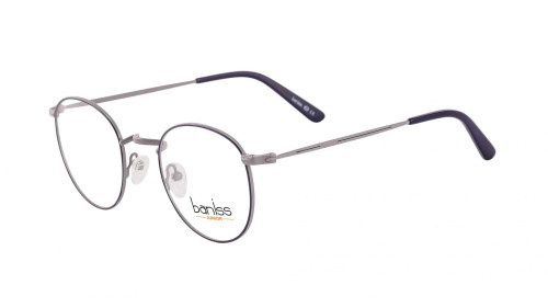 Baniss BR5053 фото 2