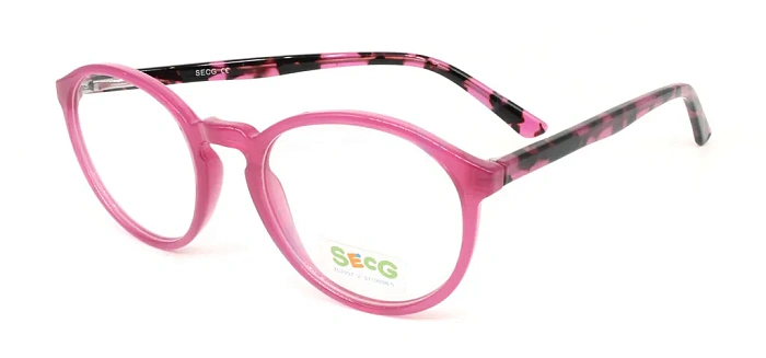 Secg 1005