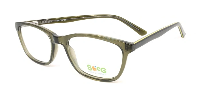 Secg 1003