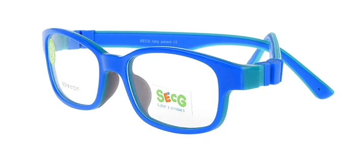 Secg 018