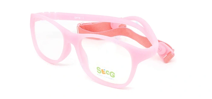 Secg 1254