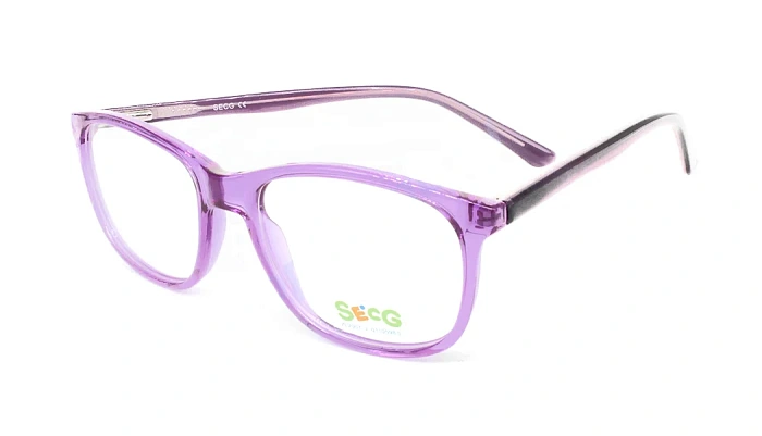 Secg 1006