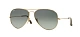 Ray-Ban 0RB3025