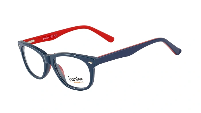 Baniss BSJ6060