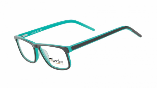 Baniss BSJ6077 фото 2 Baniss BSJ6077 фото 2