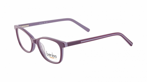 Baniss BSJ5110 фото 2